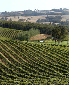 Brookhampton Estate